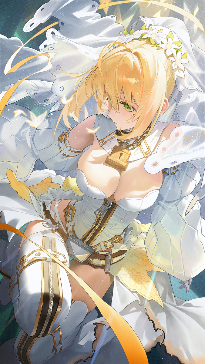 This is a pixiv picture whose title is ネロ.