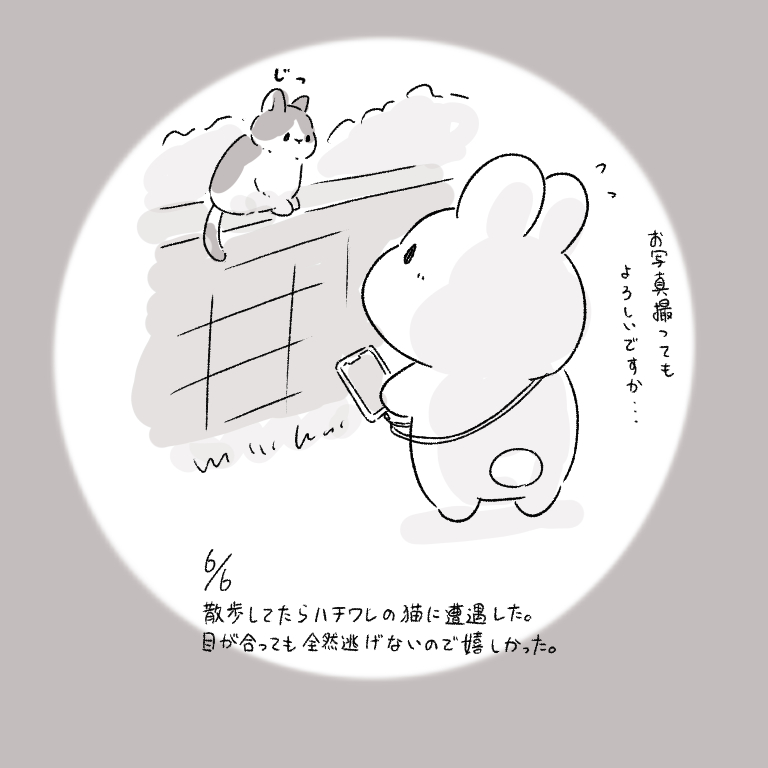 This is a pixiv picture whose title is 今日の日記.