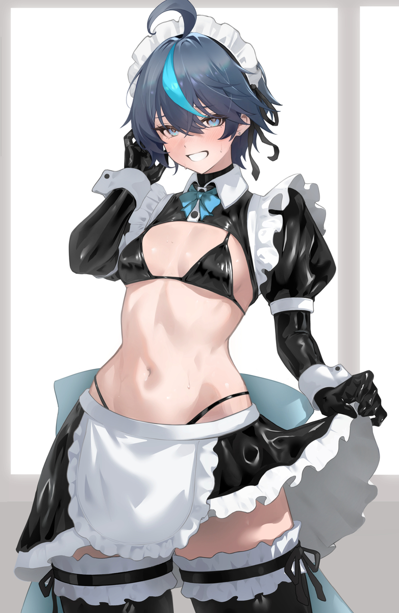 This is a pixiv picture whose title is Maid Silvia.