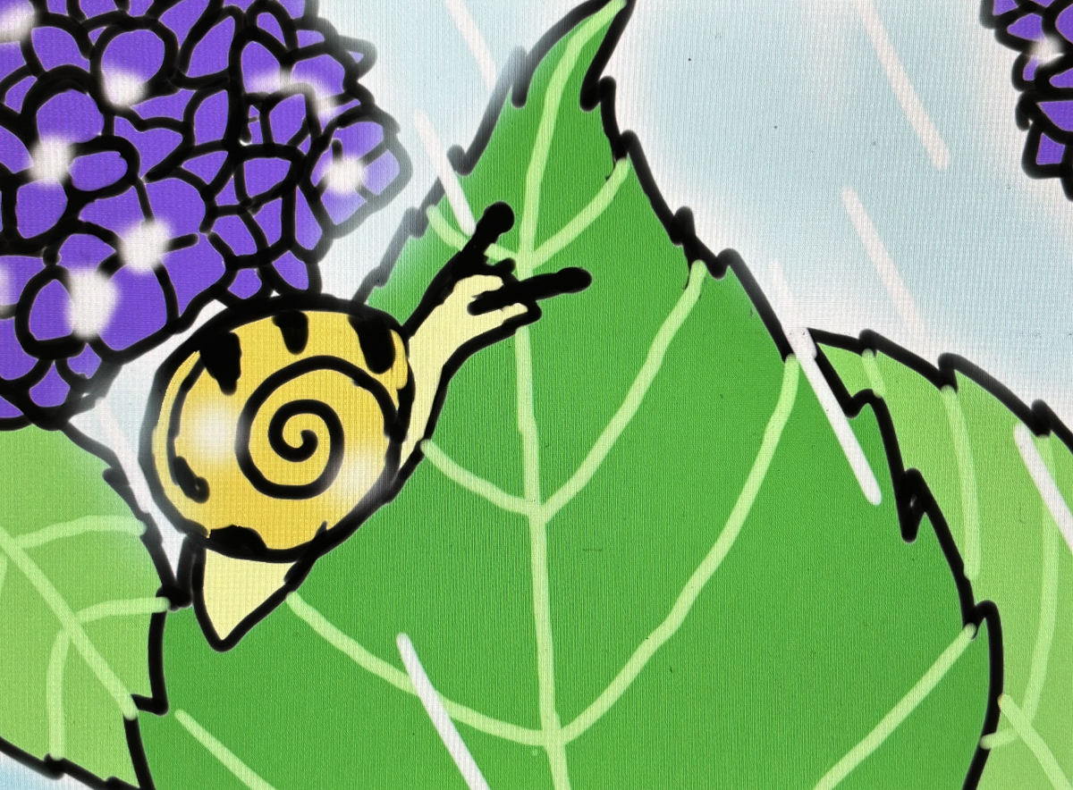 This is a pixiv picture whose title is カタツムリと紫陽花🐌🌧️.