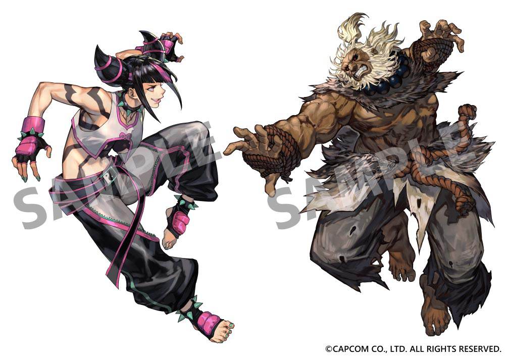 This is a pixiv picture whose title is ONKYO×STREET FIGHTER.