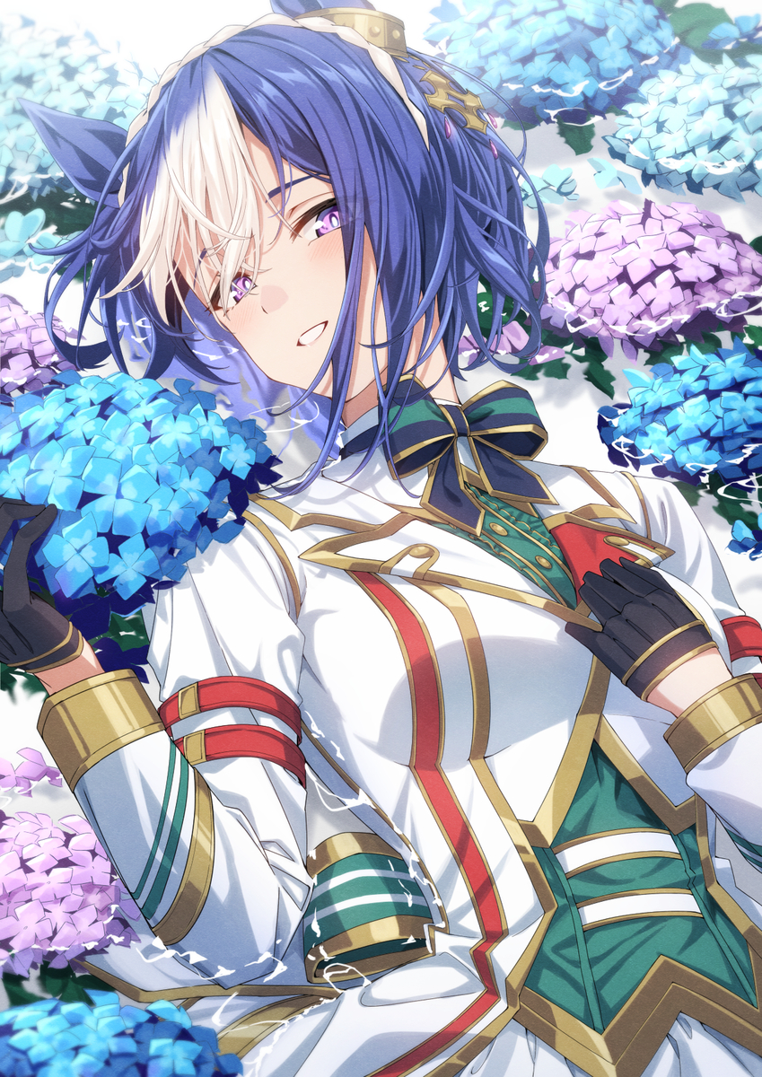 This is a pixiv picture whose title is 紫陽花とシーザリオ.