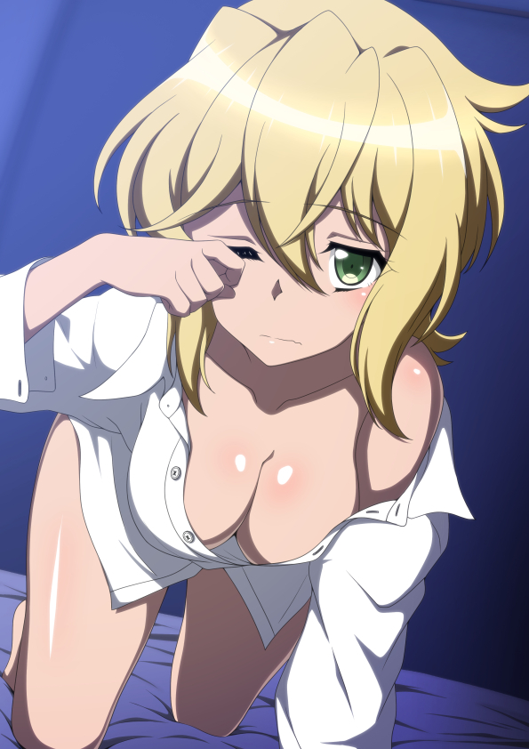 This is a pixiv picture whose title is 彼シャツ切ちゃん.