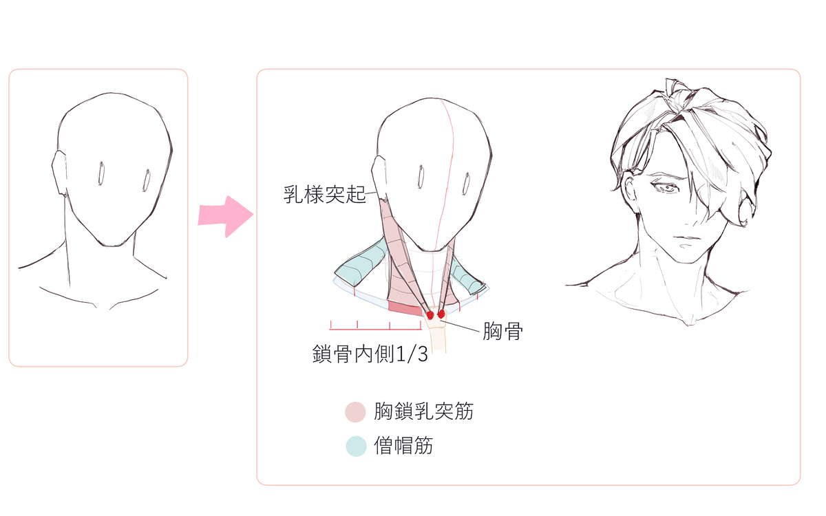 This is a pixiv picture whose title is 胸鎖乳突筋.