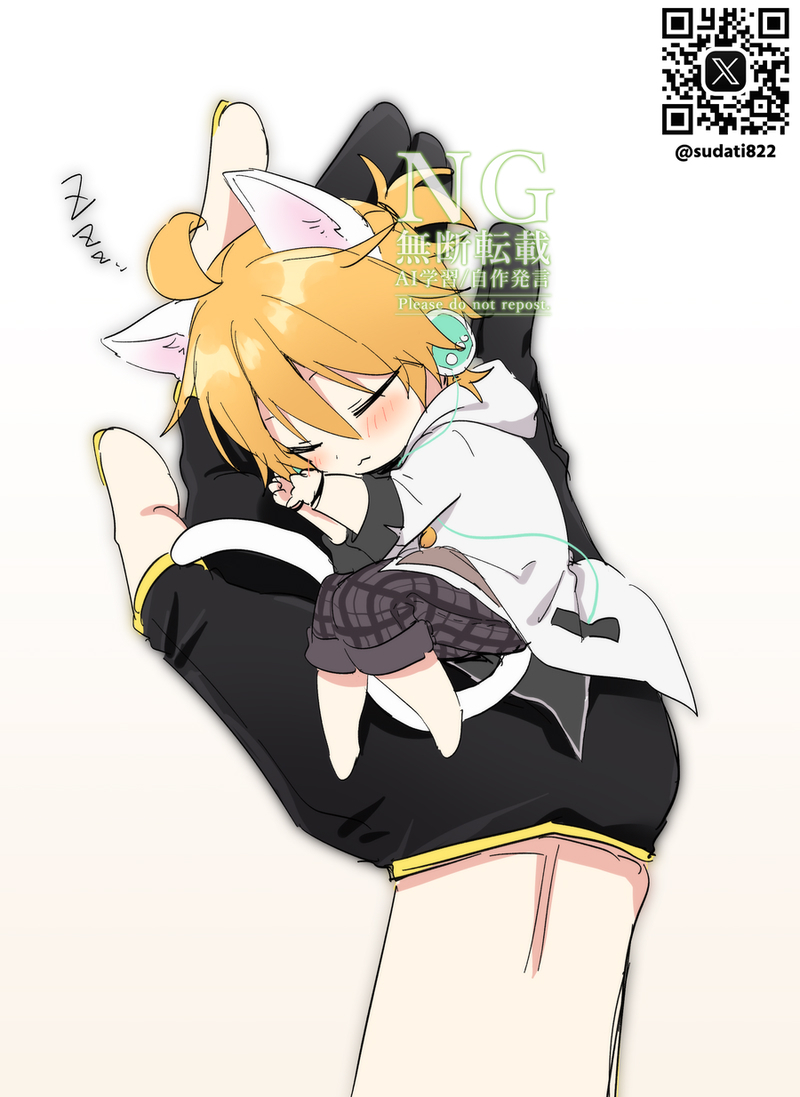 This is a pixiv picture whose title is 子猫ランエジ.