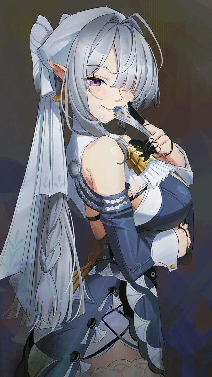 This is a pixiv picture whose title is Velina.