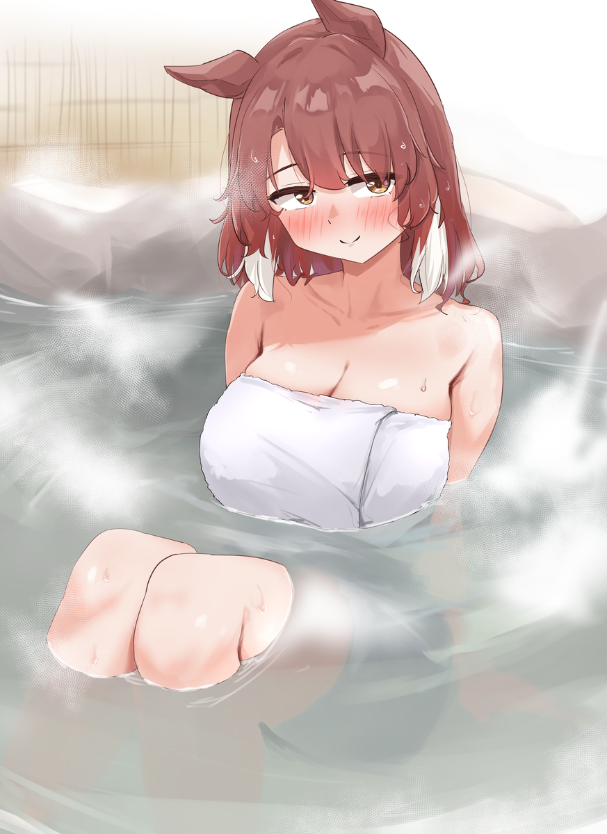 This is a pixiv picture whose title is 温泉ツ.
