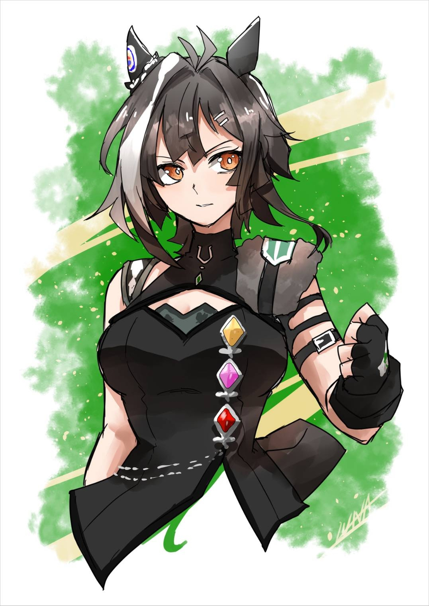 This is a pixiv picture whose title is タイトルホルダー.