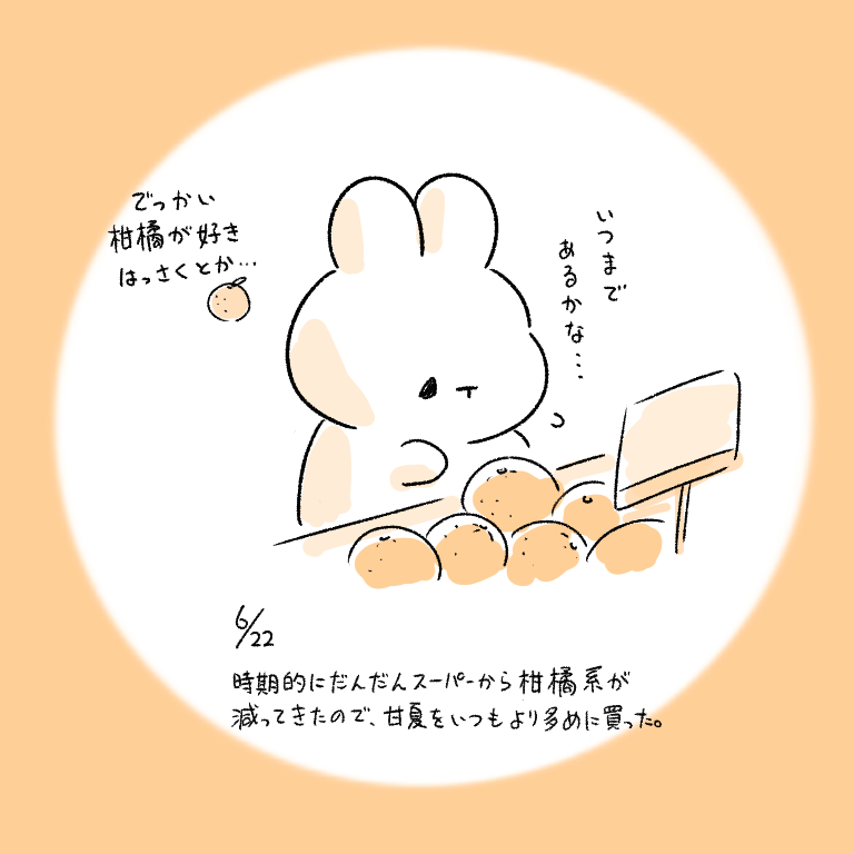 This is a pixiv picture whose title is 今日の日記.