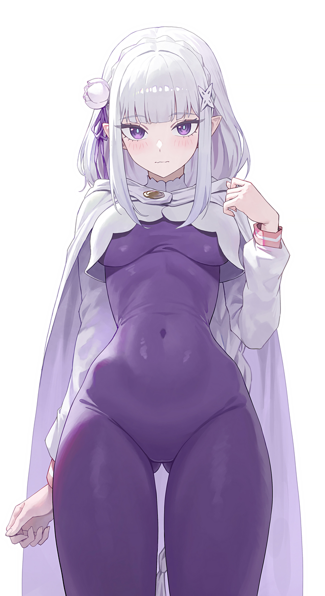 This is a pixiv picture whose title is Emilia.