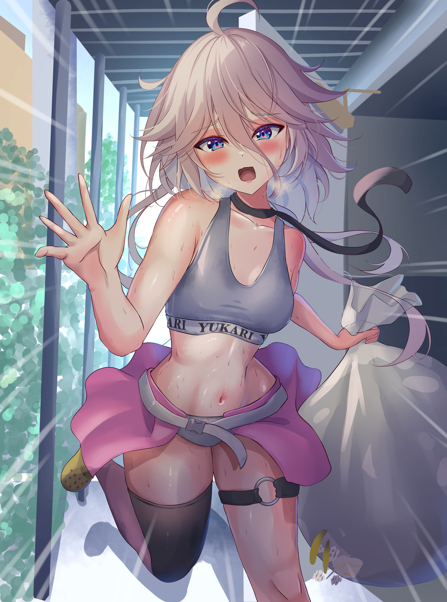 This is a pixiv picture whose title is IA.
