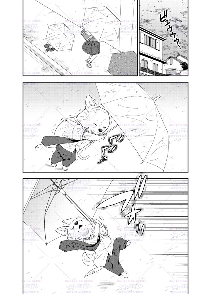 【Pixiv精选】97