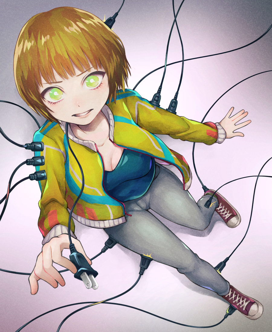 This is a pixiv picture whose title is 電源.