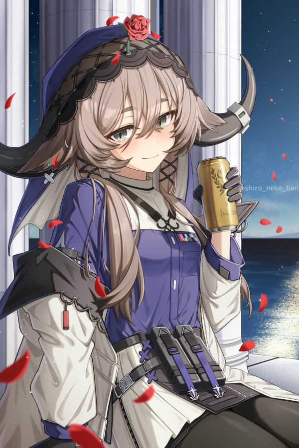 This is a pixiv picture whose title is パラスさん.