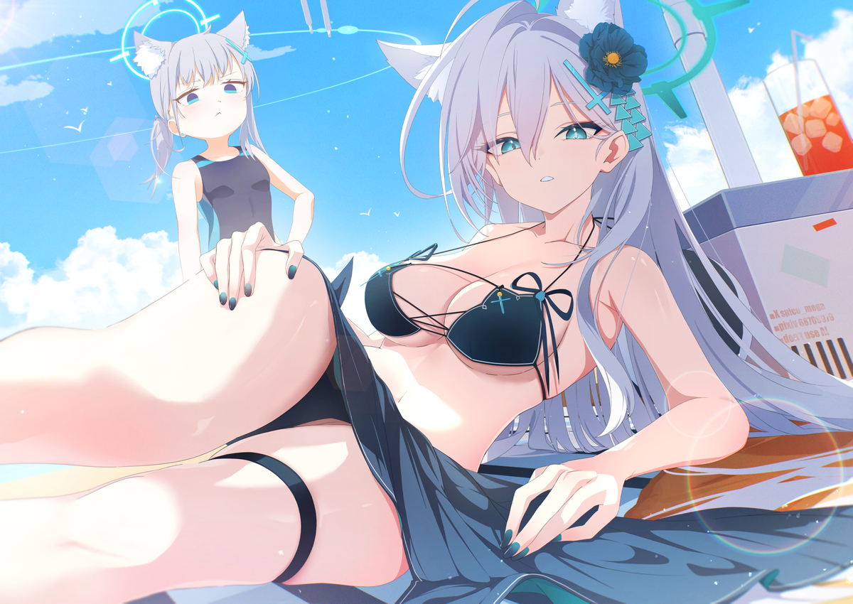 This is a pixiv picture whose title is シロコ.