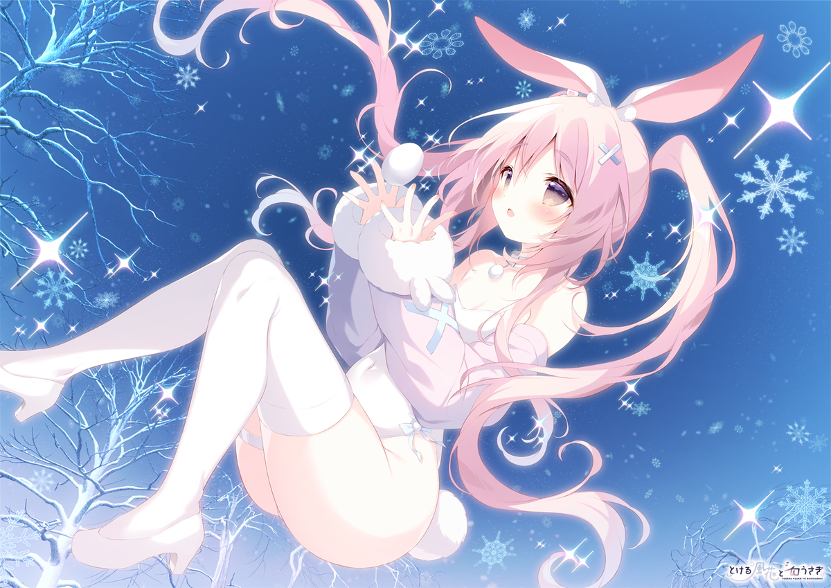 This is a pixiv picture whose title is とける風花とシロうさぎ.
