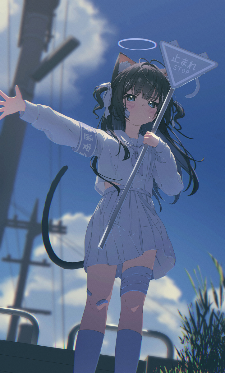 This is a pixiv picture whose title is Skeb Commission.