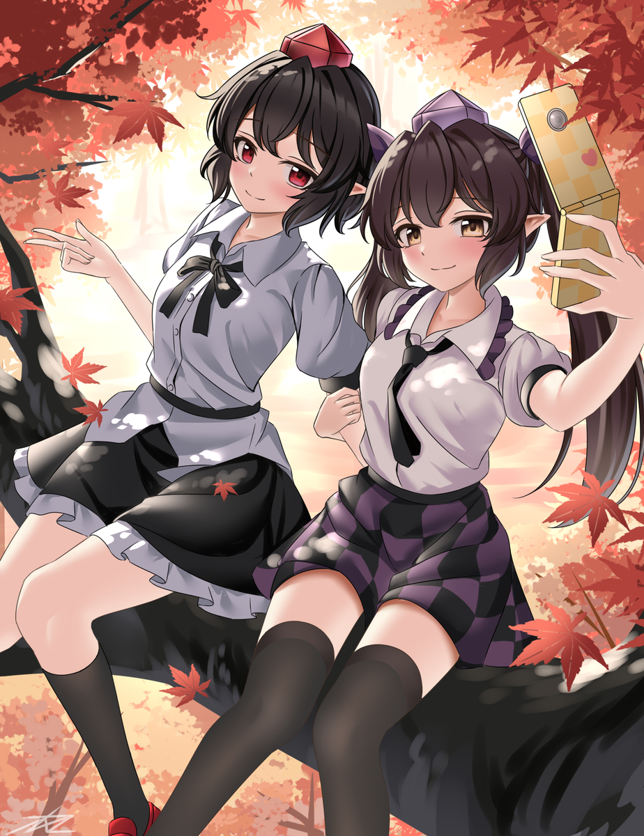 This is a pixiv picture whose title is 合影.