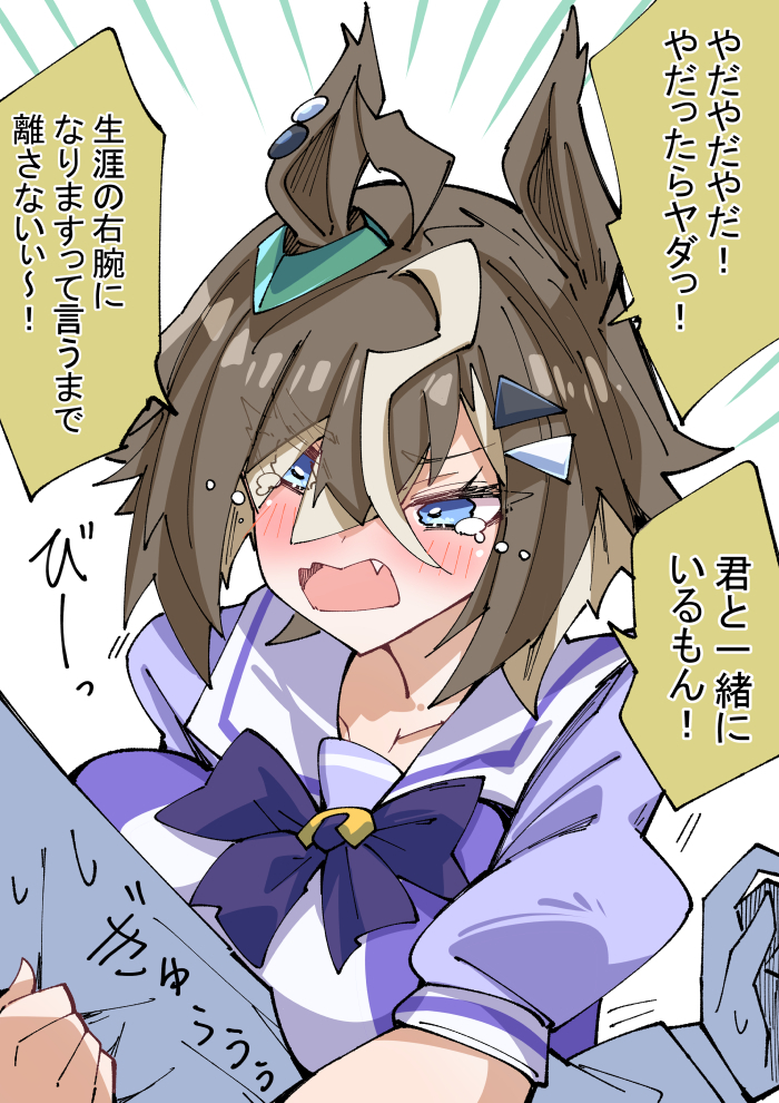 This is a pixiv picture whose title is やだやだルラシ.