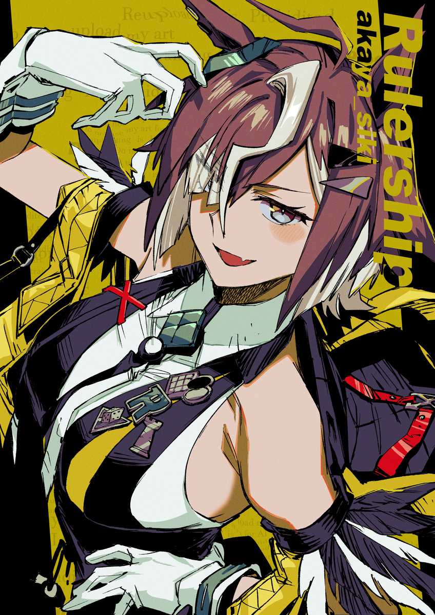 This is a pixiv picture whose title is ルーラーシップ.