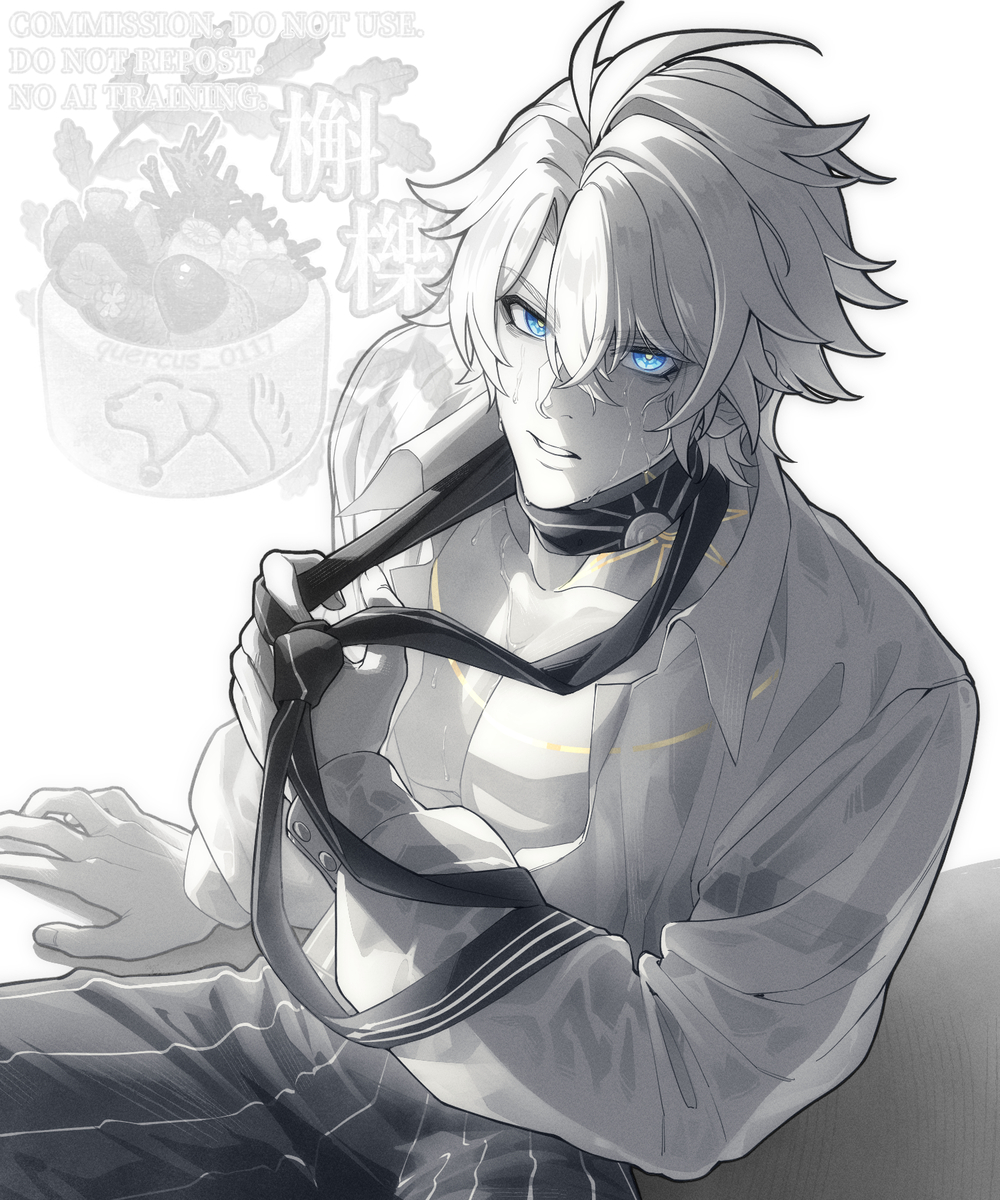 This is a pixiv picture whose title is Commission_260724.