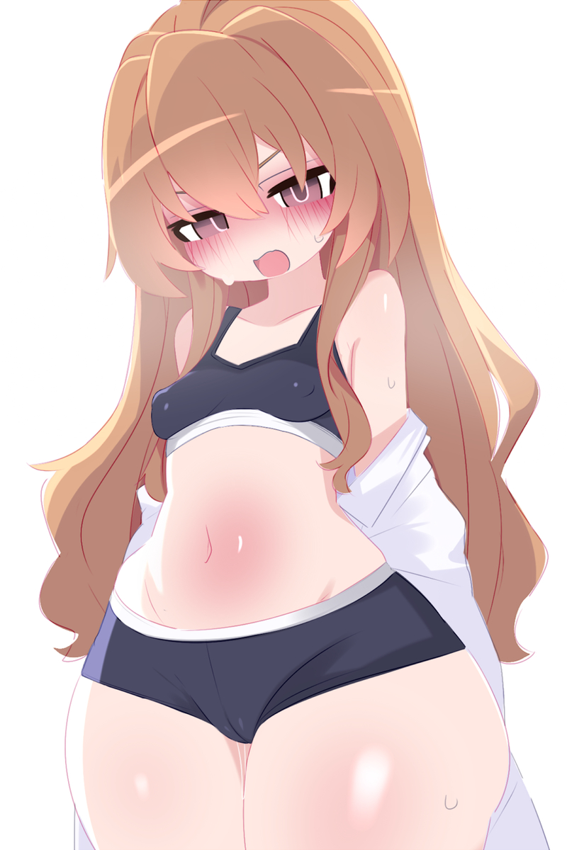 This is a pixiv picture whose title is 逢坂大河 260725.
