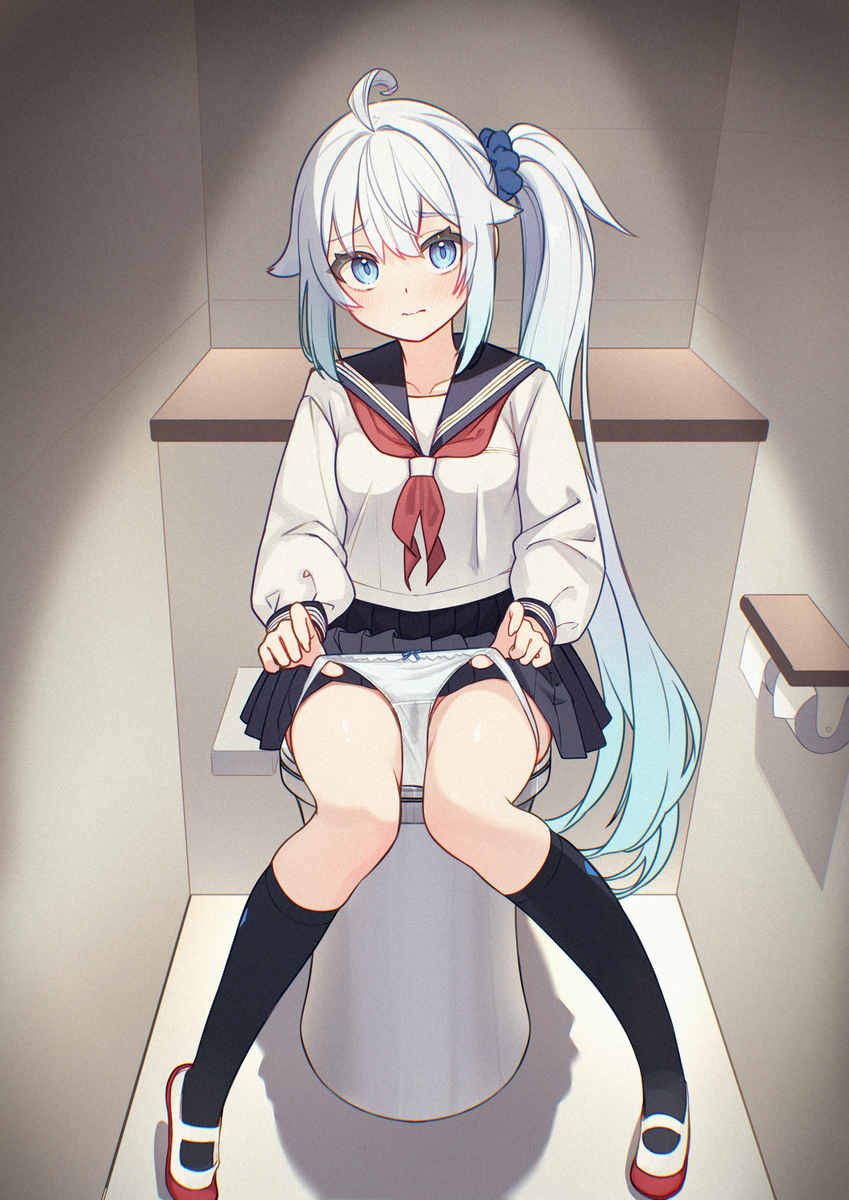 This is a pixiv picture whose title is トイレ.
