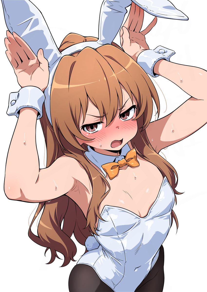 This is a pixiv picture whose title is バニー大河🐯.