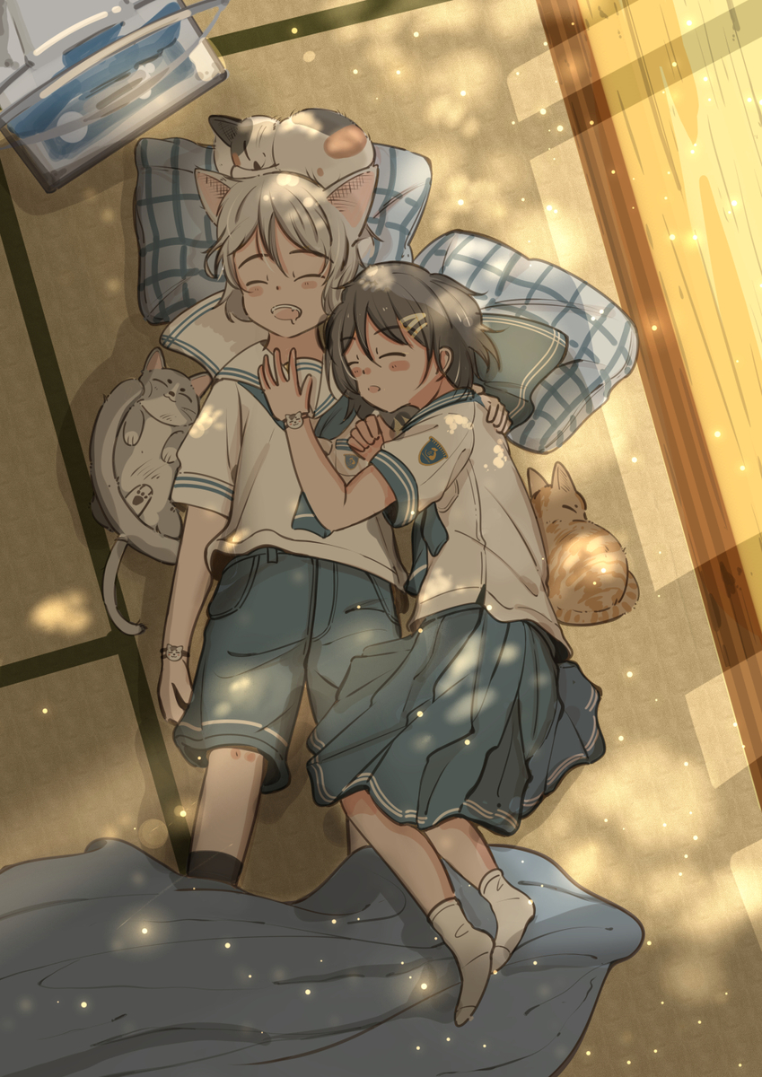 This is a pixiv picture whose title is うたたねの温度.