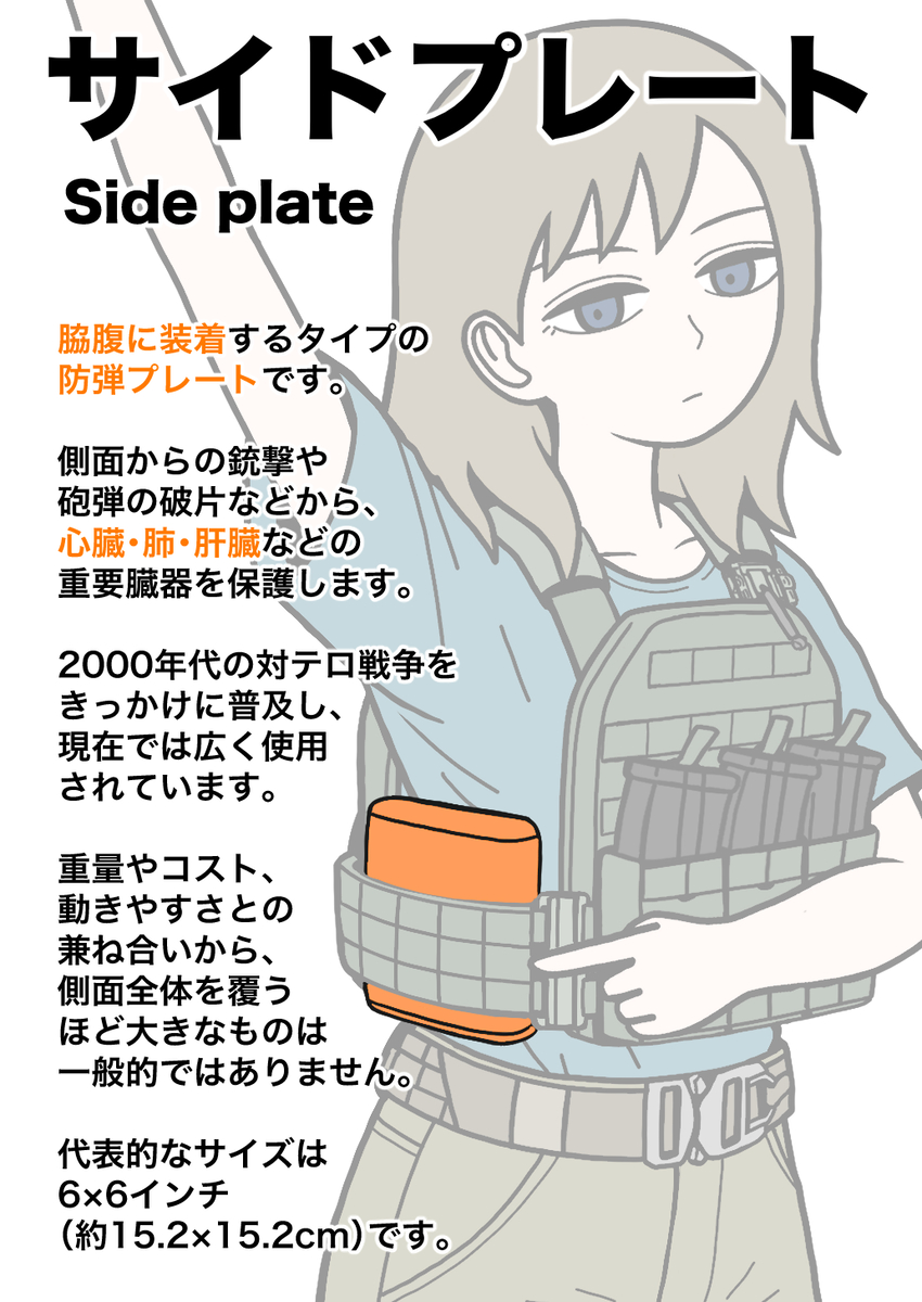 This is a pixiv picture whose title is サイドプレート.