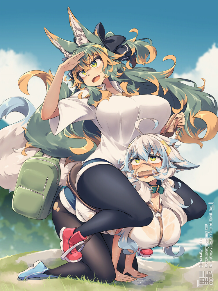 This is a pixiv picture whose title is 「いい景色～」.