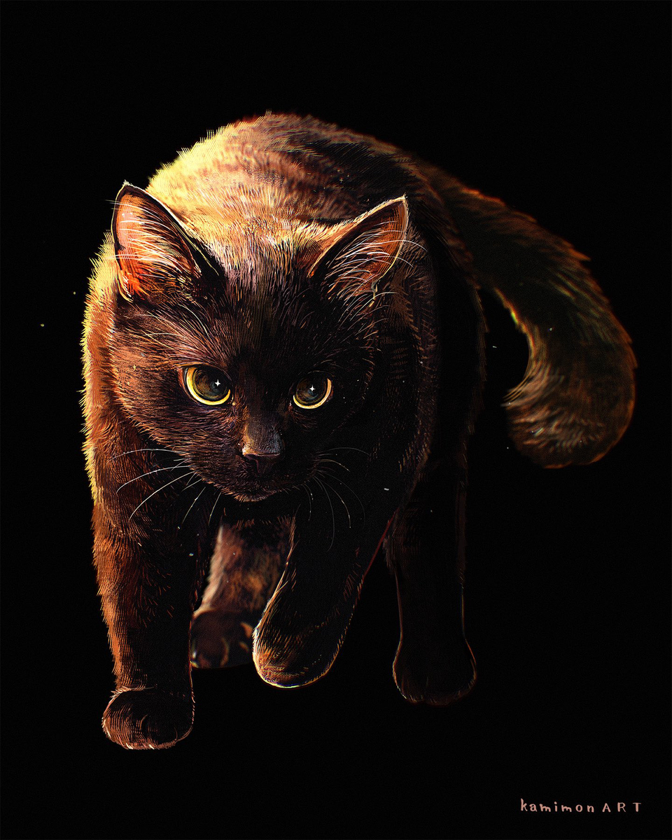 This is a pixiv picture whose title is BLACK CAT.