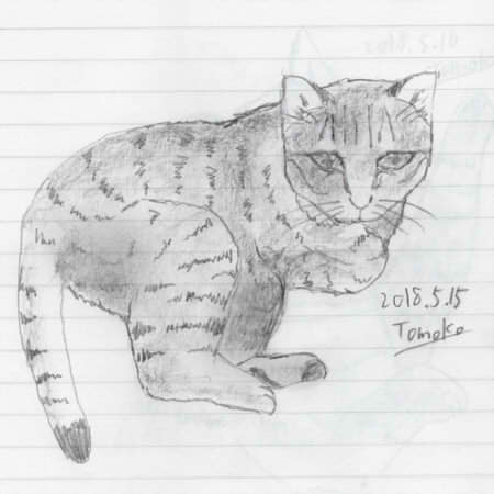 This is a pixiv picture whose title is ぬこ674.