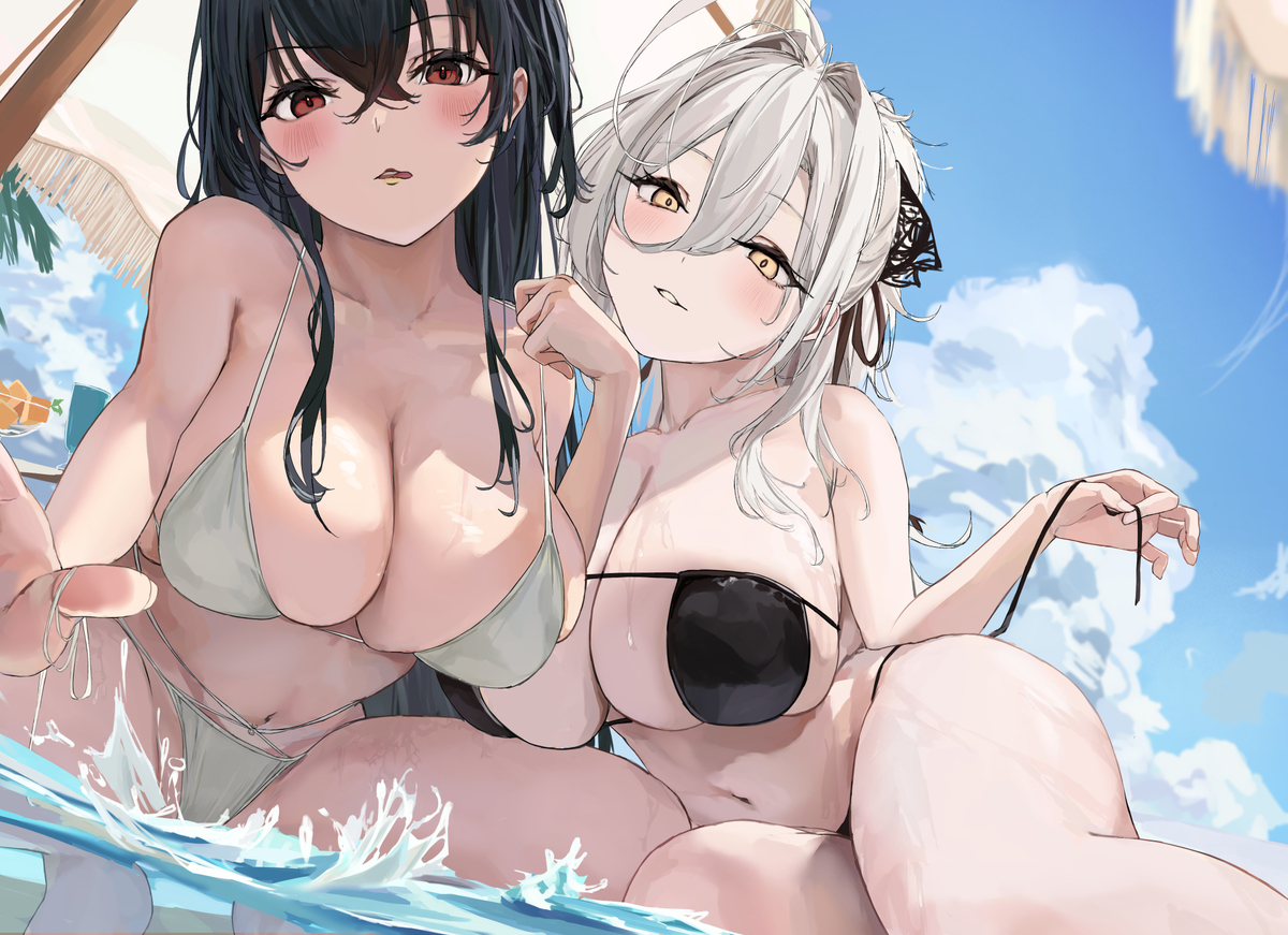 This is a pixiv picture whose title is 大鳳＆白鳳.