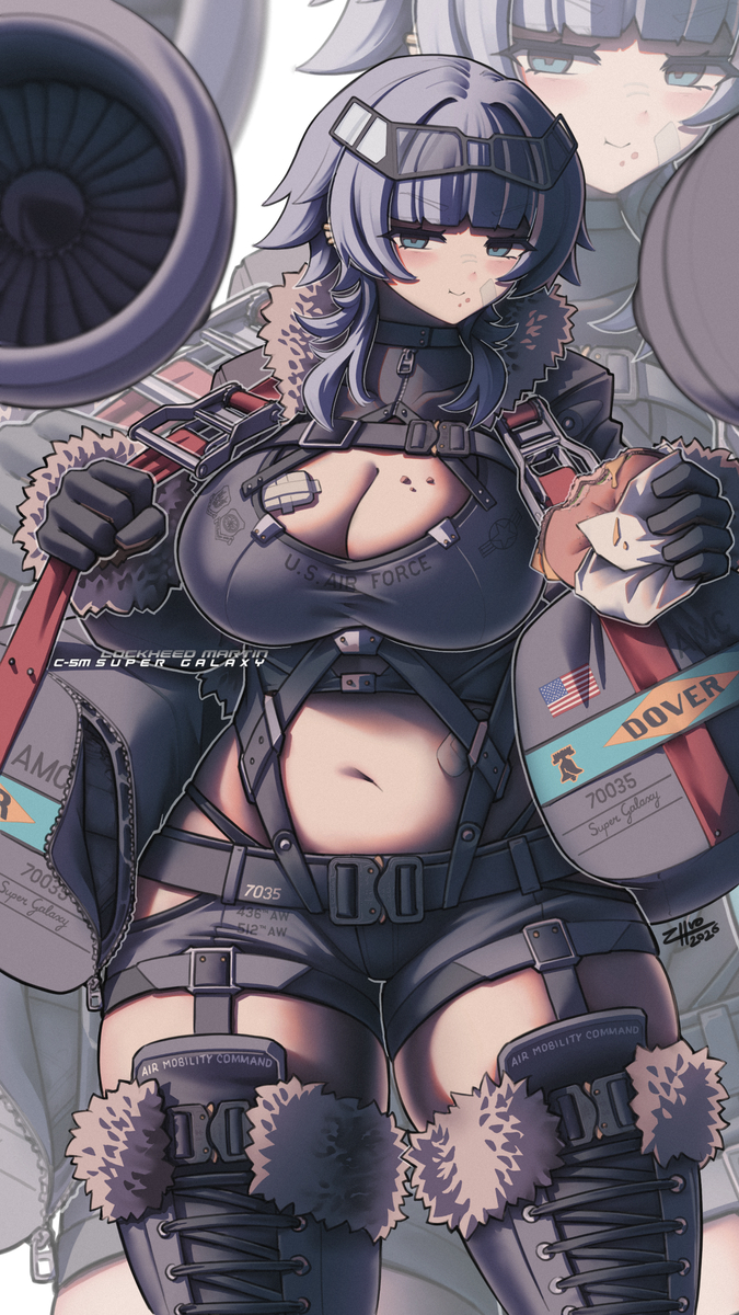 This is a pixiv picture whose title is Lockheed C-5M Super Galaxy.