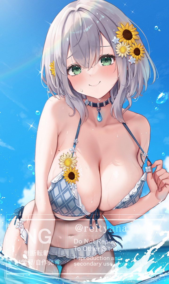 This is a pixiv picture whose title is ホロドリ水着団長.