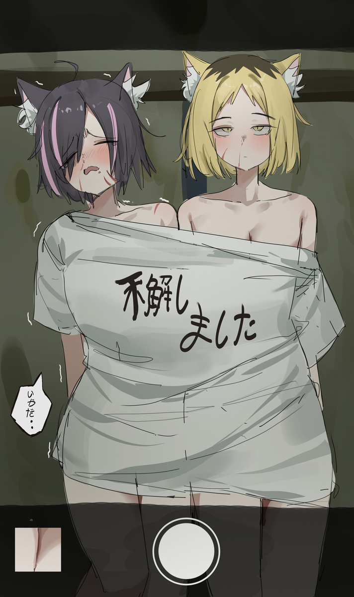 This is a pixiv picture whose title is ヤクねこ&ハメねこ.