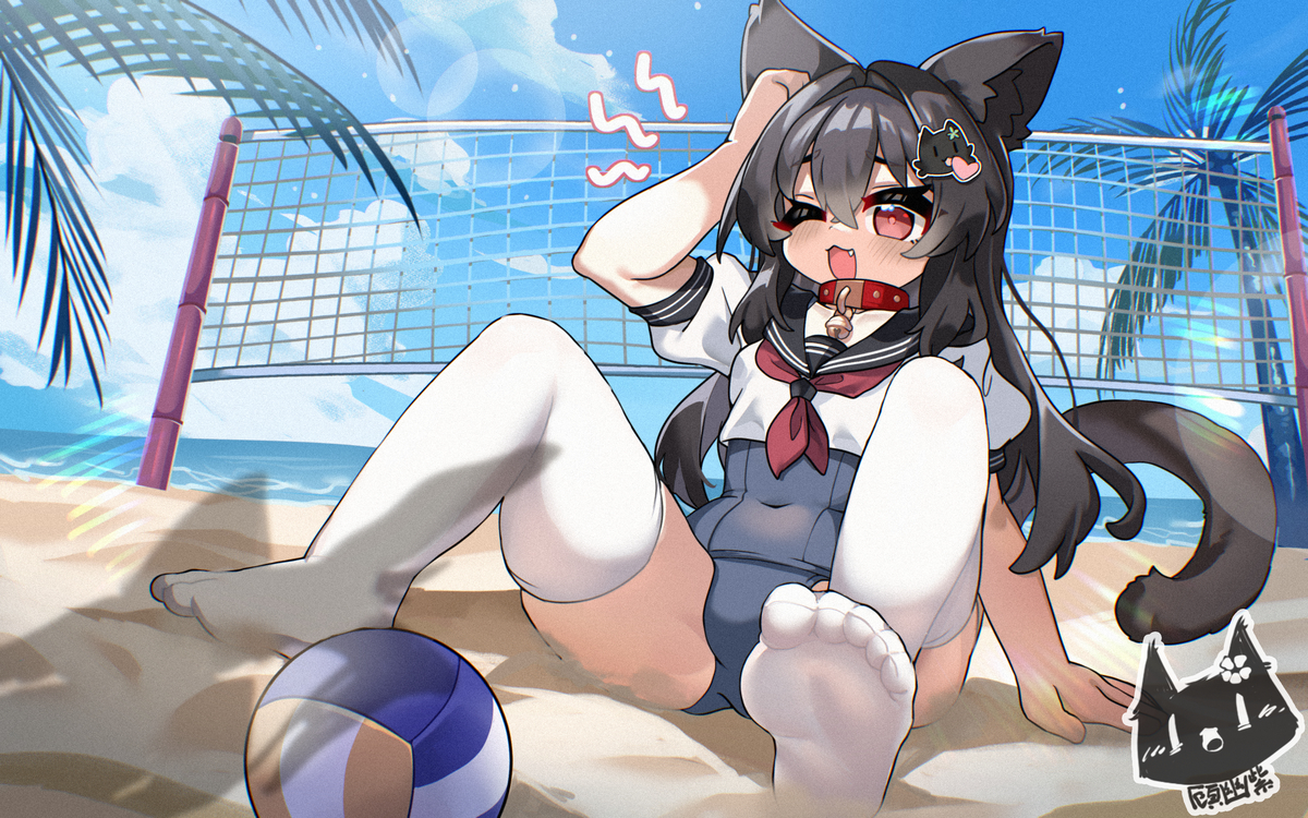 This is a pixiv picture whose title is 沙滩排球.