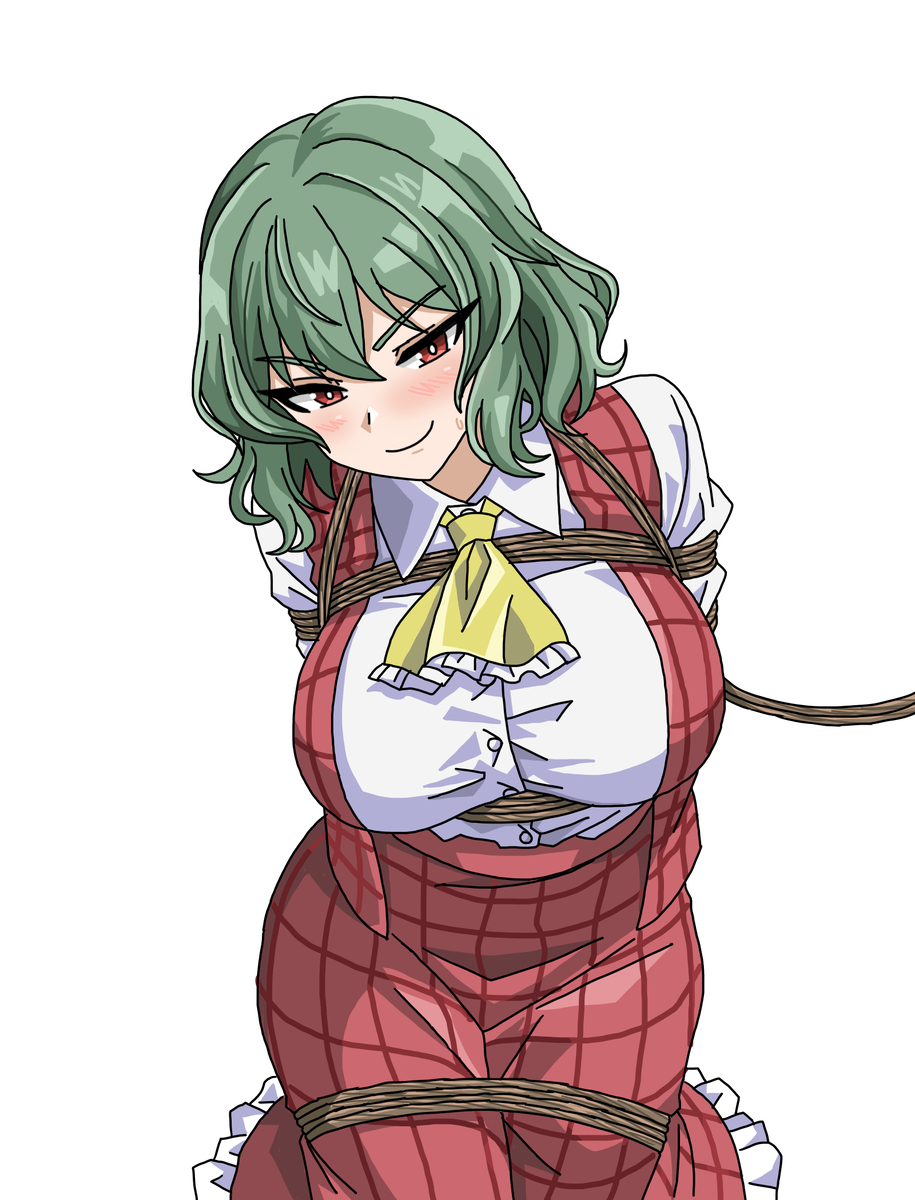 This is a pixiv picture whose title is 風見幽香　緊縛.