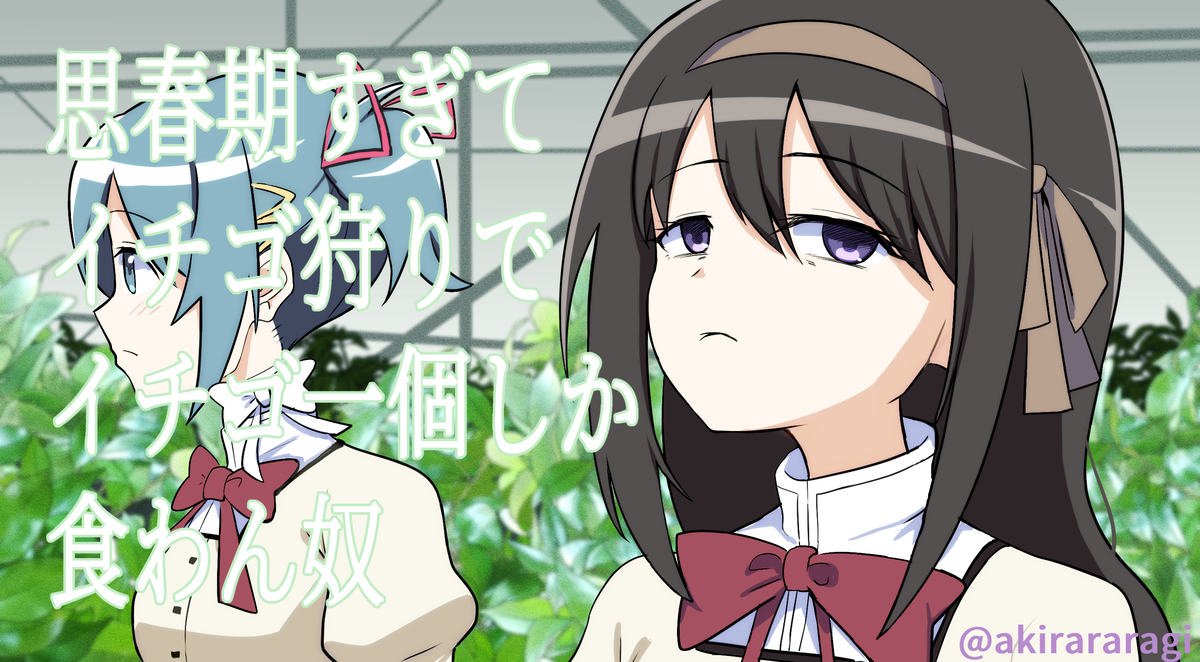 This is a pixiv picture whose title is イチゴ狩りをするほむさや.