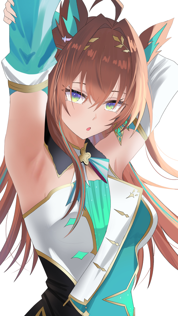 This is a pixiv picture whose title is F4.