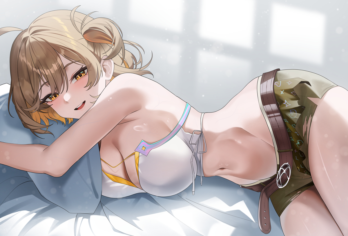 This is a pixiv picture whose title is 아니스.