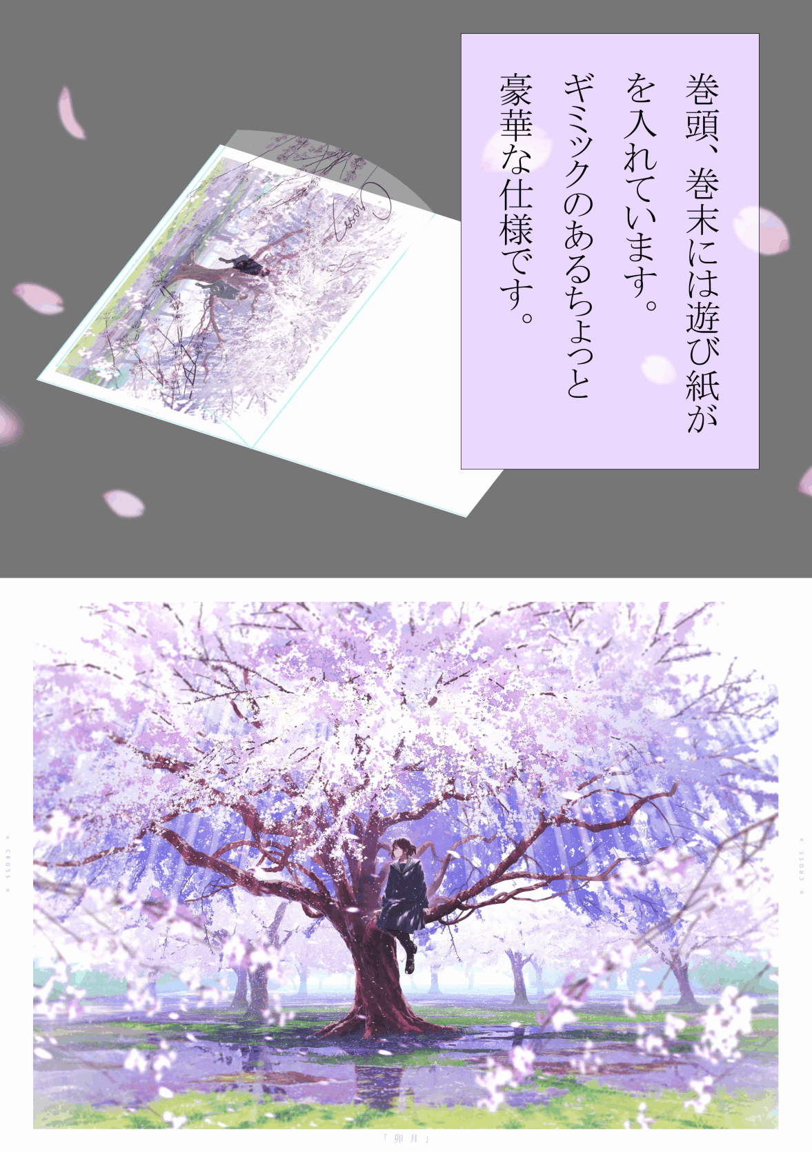 100285557-1