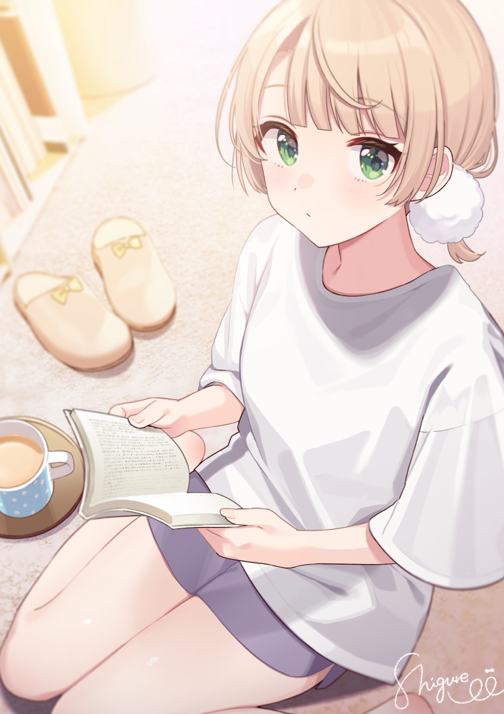 2024 年 02 月 14 日 日榜 Top10 | Pixiv 精选