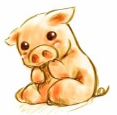 コノハナ