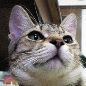 ウンコ太郎さん