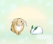 セト