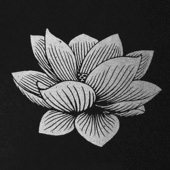 中城