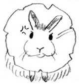 あいみ
