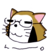 あらいぐま
